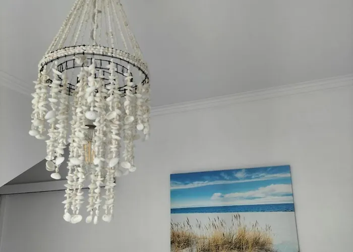 Apartment Dary Morza